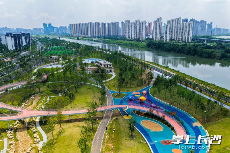 现代感十足的步道在绿化带中蜿蜒穿行。