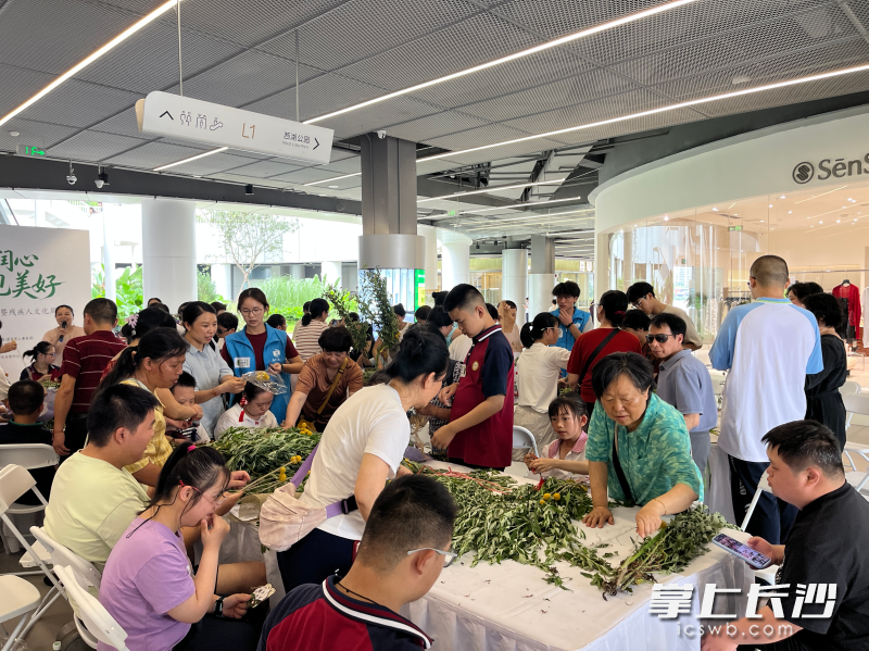 志愿者们正在指导大家制作艾草花束。（通讯员供图）
