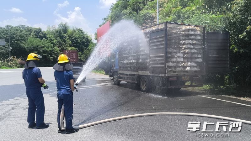 消防员给中暑鹅群洒水降温。 长沙晚报通讯员 王磊 摄