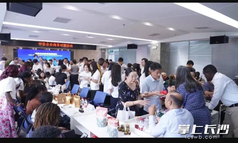 中非企业商务对接现场。受访者 供图