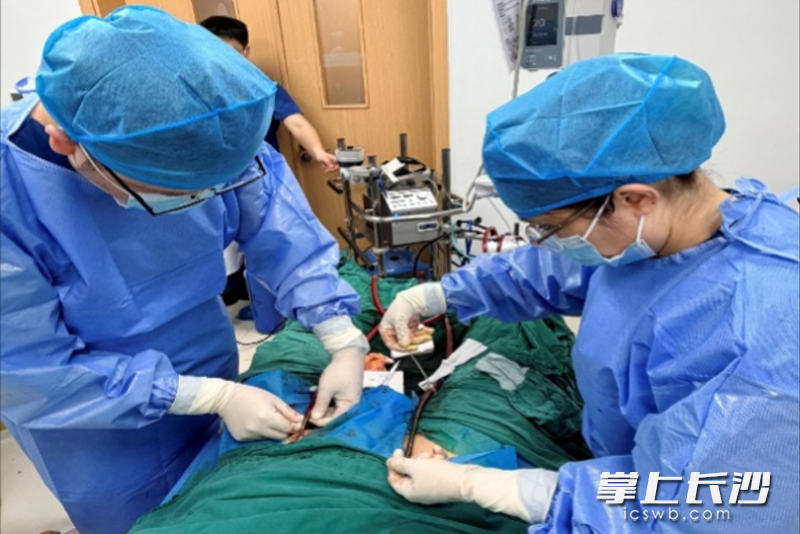 医护人员为患者实施ECMO＋IABP双重辅助模式的治疗，最大程度减轻其心脏负荷，助力心功能恢复。