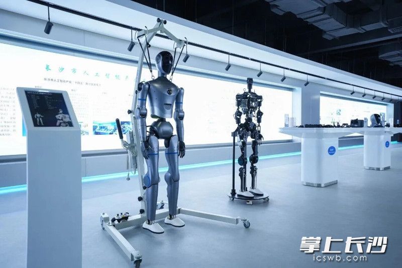 湖南具身智能创新中心展出的具身智能机器人。长沙晚报通讯员 舒展 供图