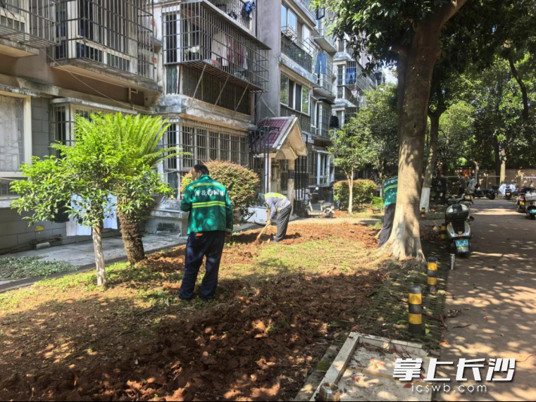 施工现场。 施工现场。