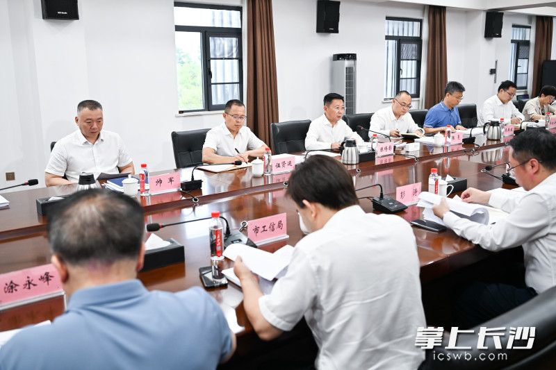 6月23日，市委副书记、市长陈博彰调研园区高质量发展、音视频装备产业链建设并召开座谈会。 长沙晚报全媒体记者 王志伟 摄