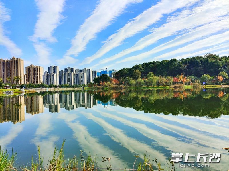 风景如画的亮月湖公园。 资料图片