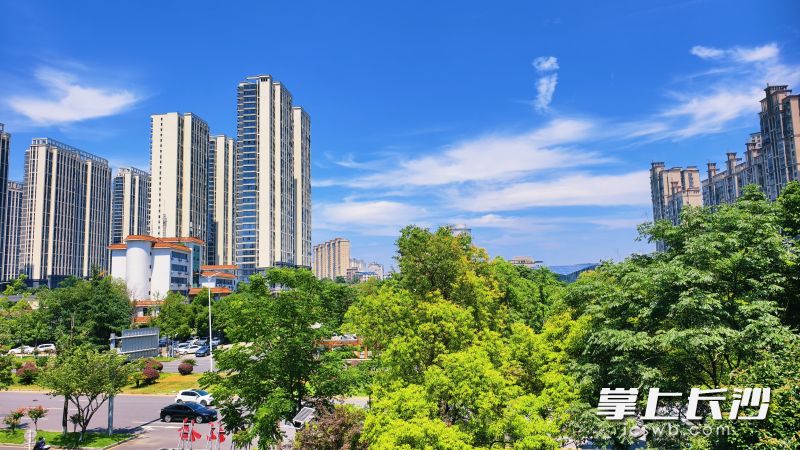 宁乡持续深化绿化提质行动，让市民乐享生态宜居幸福感。 长沙晚报全媒体记者 张禹 通讯员 孙新明 摄