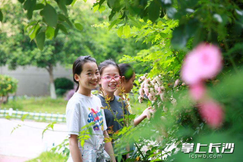 宁乡设计的立体花境装扮街巷社区，鲜花映红了孩子们的笑脸。 长沙晚报全媒体记者 张禹 通讯员 孙新明 摄