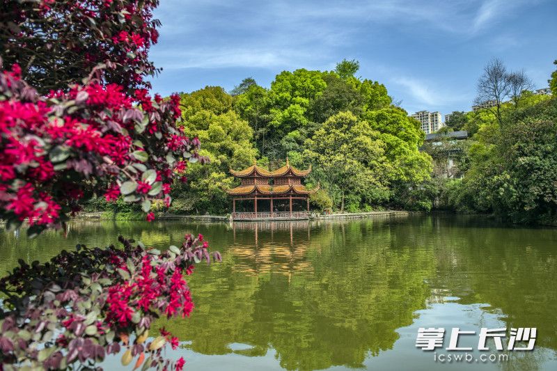 如今的南郊公园。