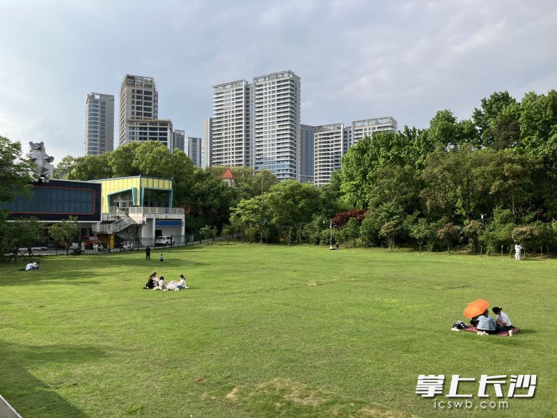 备受市民喜爱的大草坪。