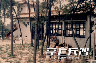 公园一直是亲子活动的好去处。