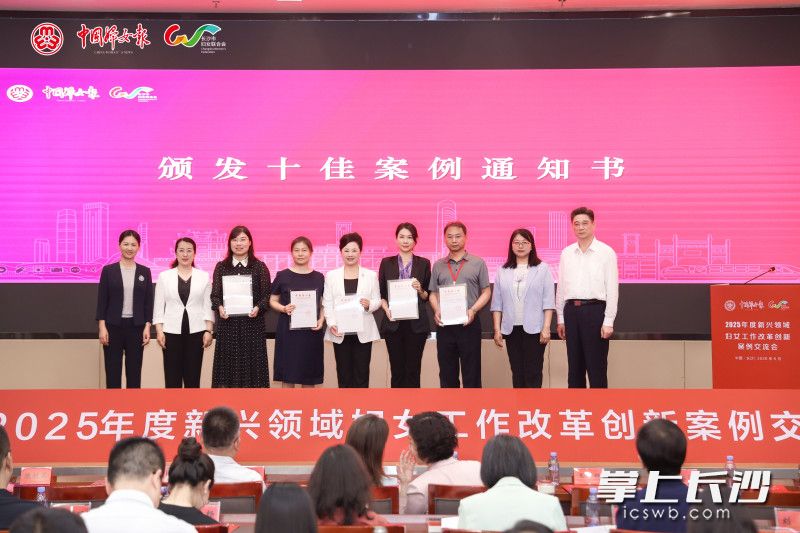 长沙市妇联报送的案例获选十佳案例。市妇联供图