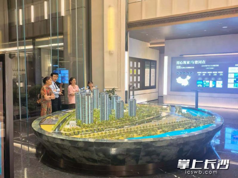 最近，长沙楼市多家房企集中推新、加推楼栋，为消费者带来了更多选择。 均为受访者供图