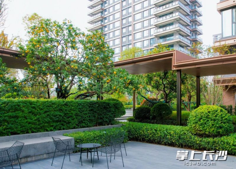 越来越多的楼盘，通过交付实景来吸引客户。图为长沙洋湖片区某楼盘实景。