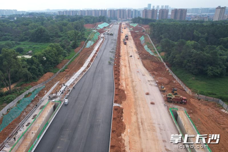 两段道路共同构成长郡中学奥体城校区对外的“通行动脉”，如期完工对保障今年9月开学季交通畅行意义重大。