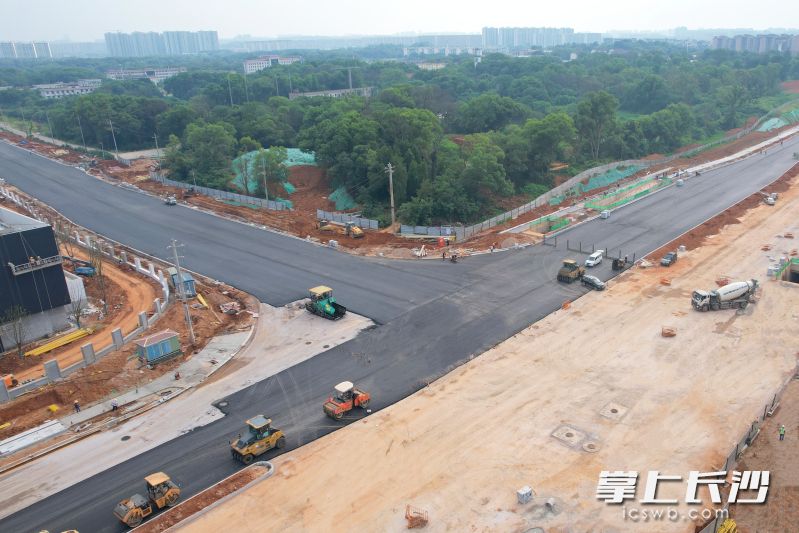 6月29日，观音港路、时光路项目保通段沥青下面层摊铺施工完成。 均为全媒体记者 吴鑫矾 通讯员 严思维 摄