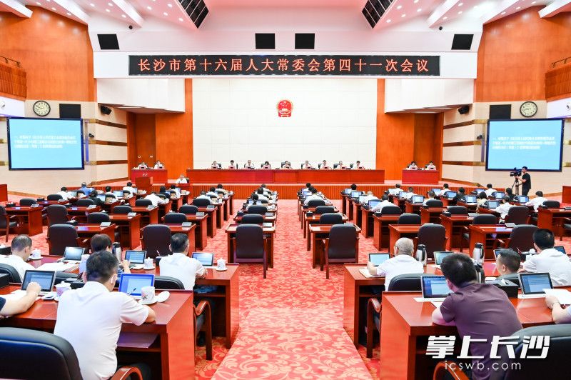 会议现场。 长沙晚报全媒体记者 刘晓敏 摄