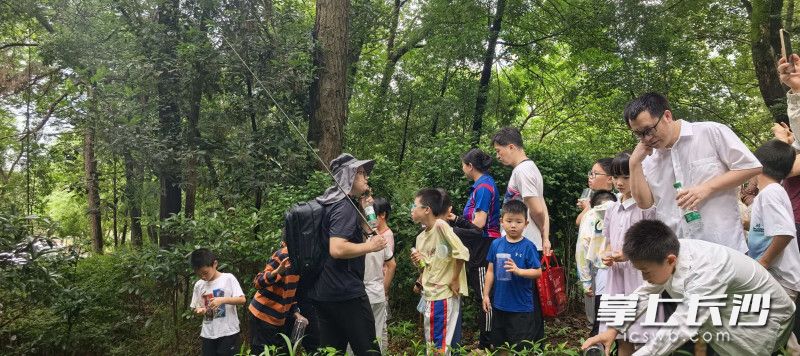 活动现场。均为长沙晚报通讯员 邱涛琪 供图