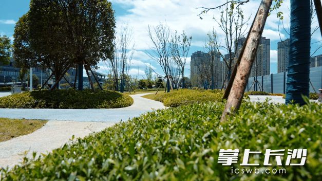 潭州大道侧新建绿道，为周边居民休闲散步提供舒适空间。