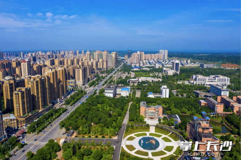 夏日的宁乡处处是美景。均为受访方供图
