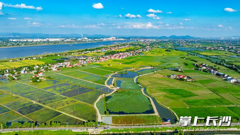 望城区乔口镇柳林江村。照片均由受访者提供