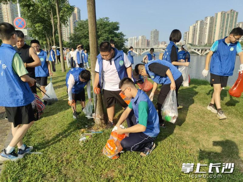 志愿者们在行动。 均为通讯员供图