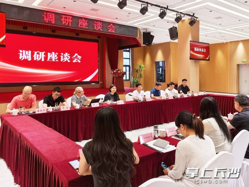 调研座谈会现场。 通讯员供图