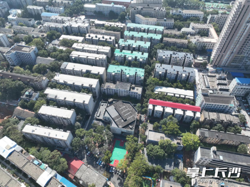 金科园社区。 均为资料图片