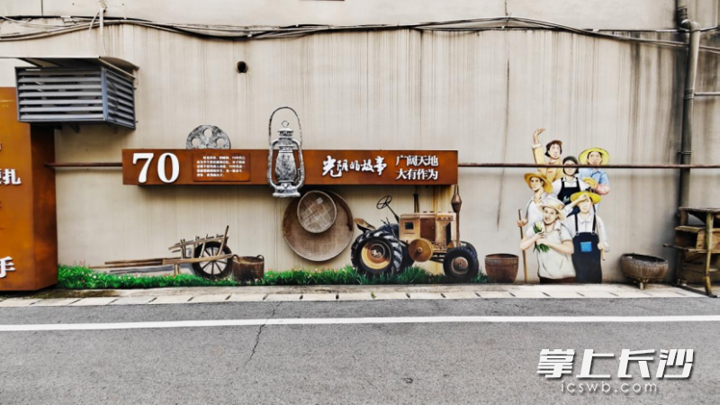 沿着社区道路往里走，文化墙和老物件不时出现。