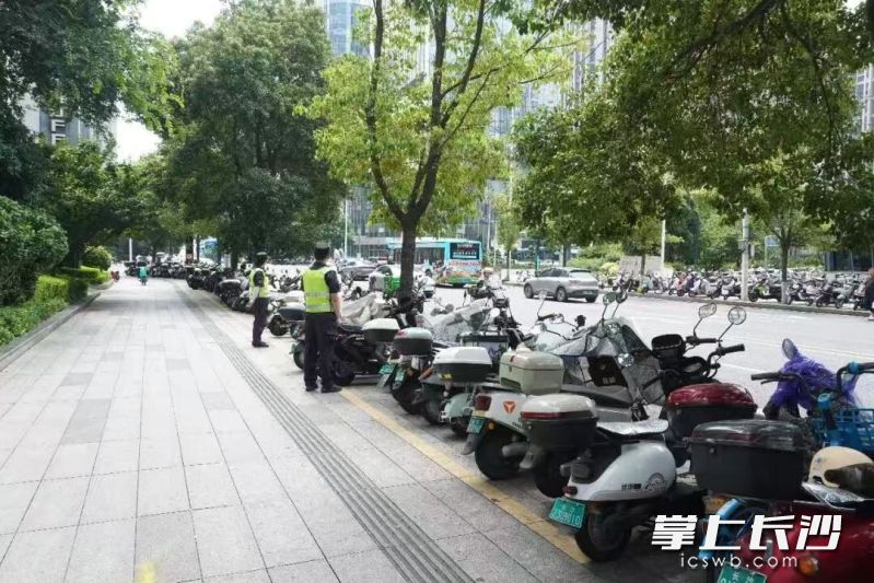 划定的停车框内，车辆整齐排列。均为 通讯员 彭毓妍 供图