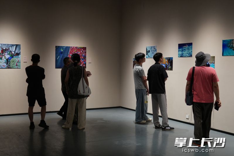 观众驻足品鉴。