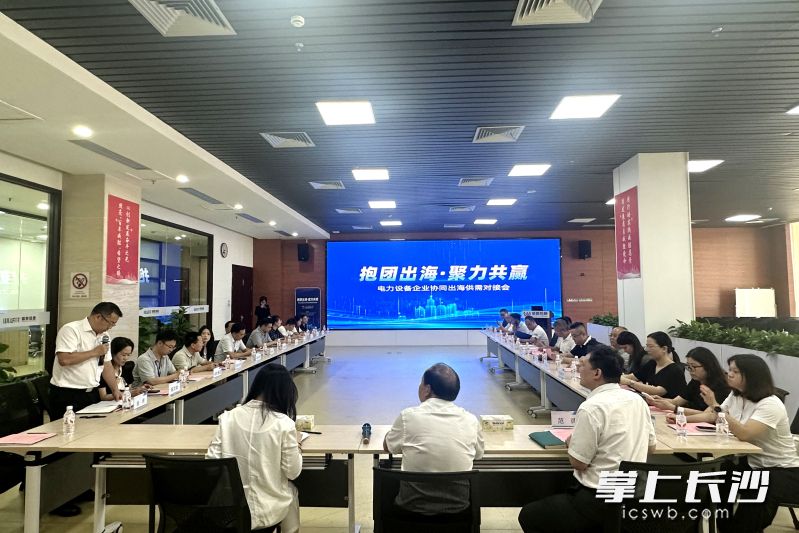 7月17日，长沙高新区麓谷产业园举行“抱团出海·聚力共赢”电力设备企业协同出海供需对接会。均为 湘江早报全媒体记者 黄荣佳 摄