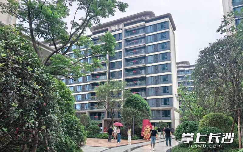 当下年中关键节点,长沙楼市迎来一年一度集中交付潮。 均为受访者供图 当下年中关键节点,长沙楼市迎来一年一度集中交付潮。 均为受访者供图
