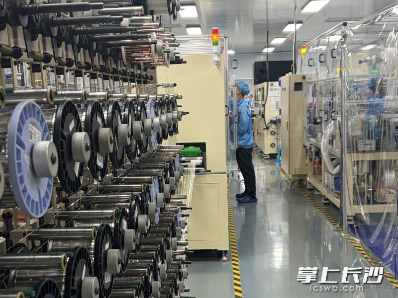 东莞市瑞良电子实现现代化管理，产品销往全球各地。 受访方供图