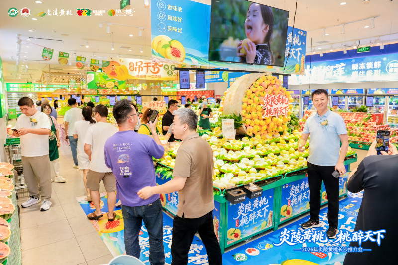 现场，消费者正在品尝新鲜的炎陵黄桃。 均为通讯员供图
