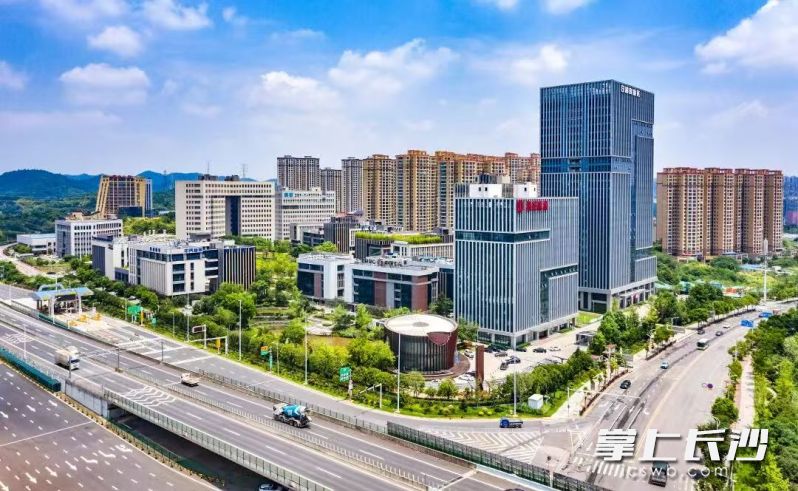 这套“岳麓高新速度”不仅让项目提前落地，更让企业坚定了扎根新区的信心。