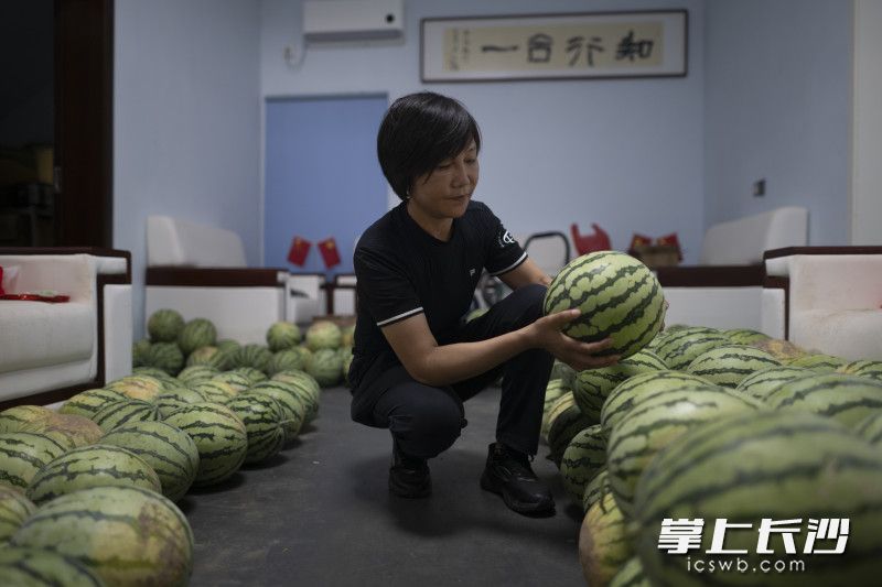 采摘的瓜，堆满了每个房间。