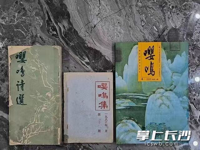 诗歌刊物。通讯员 供图
