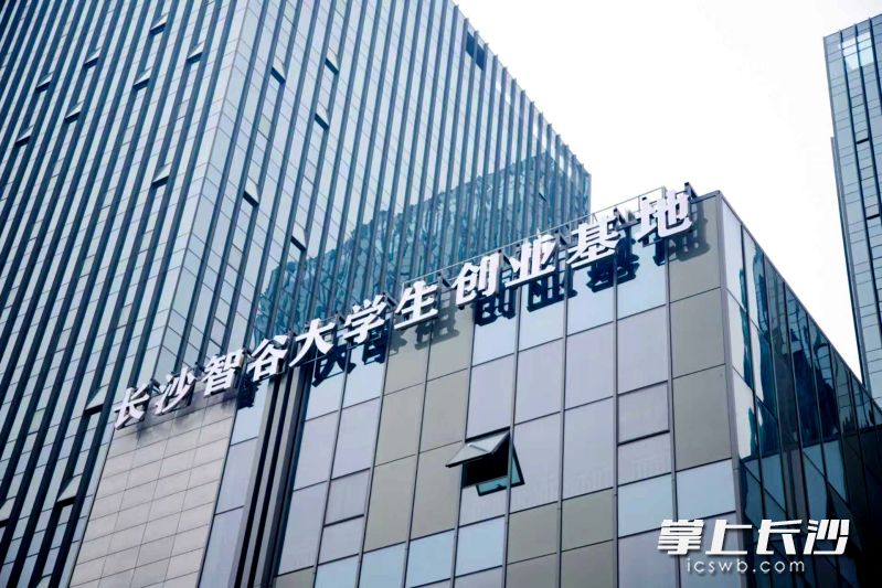 麓谷产业园通过打造一批特色产业园，为更多年轻人和硬科技提供良好的成长土壤。通讯员 章迎春 供图