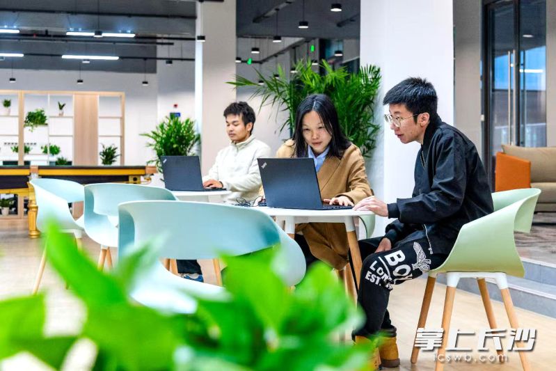 麓谷产业园依托柳枝行动把企业“扶上马”，在创业者成长路上担当“陪跑员”。通讯员 章迎春 供图