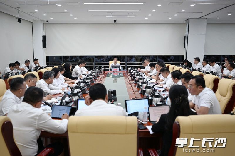 7月29日，湖南湘江新区上半年经济形势分析调度会召开。湘江早报全媒体记者 张圣贺 摄