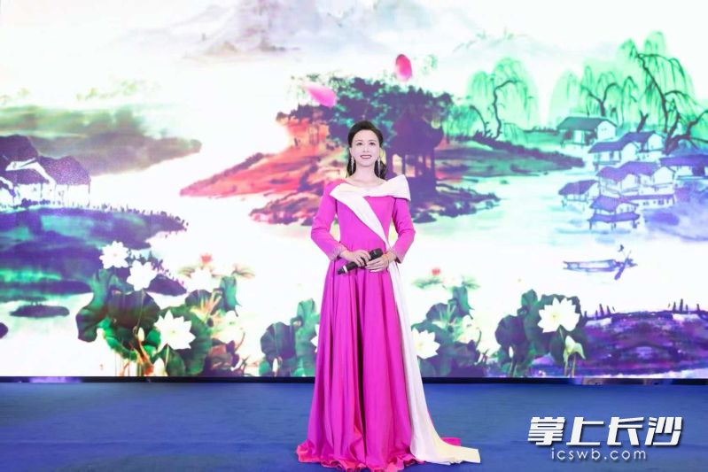 本场演出歌手盛畅。 均为长沙晚报通讯员范丹供图
