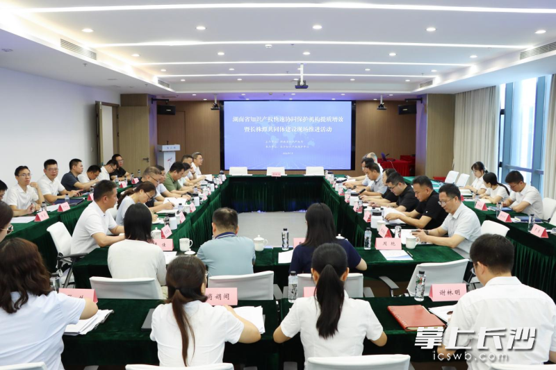 活动现场。 长沙晚报通讯员 刘星雨 供图