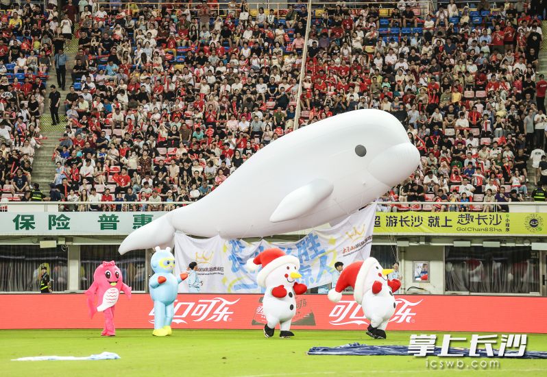 现场，空中巨型萌宠空飘方阵依次亮相。