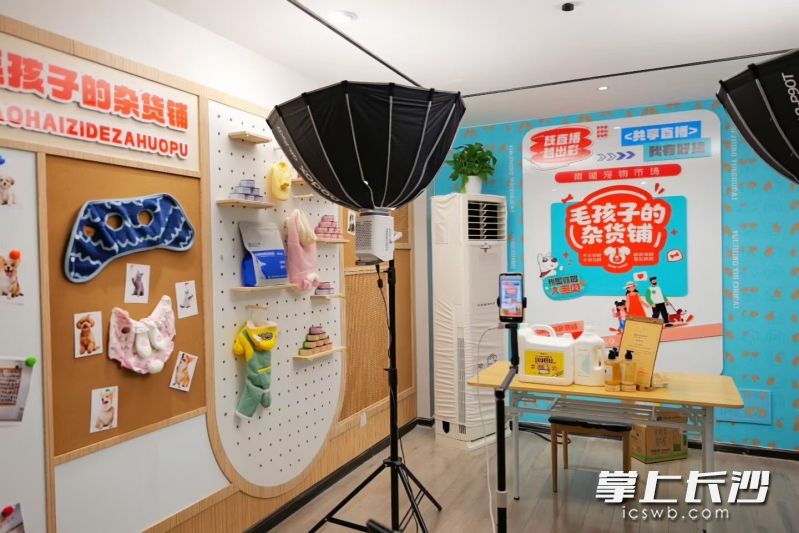 芙蓉区湘湖街道跃进湖社区在党群服务中心3楼打造的“毛孩子的杂货铺”共享直播间。 芙蓉区湘湖街道跃进湖社区在党群服务中心3楼打造的“毛孩子的杂货铺”共享直播间。