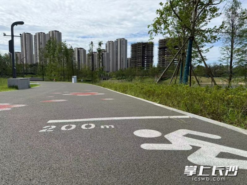 塑胶环湖跑道,脚感格外柔软。长沙晚报全媒体记者 朱泽寰摄 塑胶环湖跑道,脚感格外柔软。长沙晚报全媒体记者 朱泽寰摄