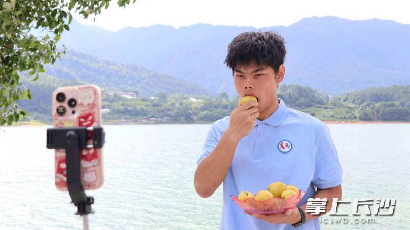 团队直播助力农产品销售。