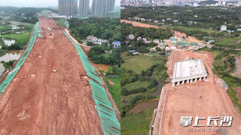望雷大道、莲浦大道两条核心主干道攻坚推进。