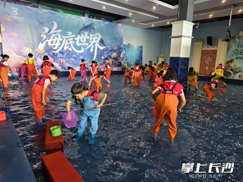 孩子们在“赶海”摸鱼。