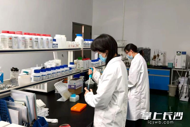 麦肯伟于2023年成立，带着浓郁的“大学生创业”底色。