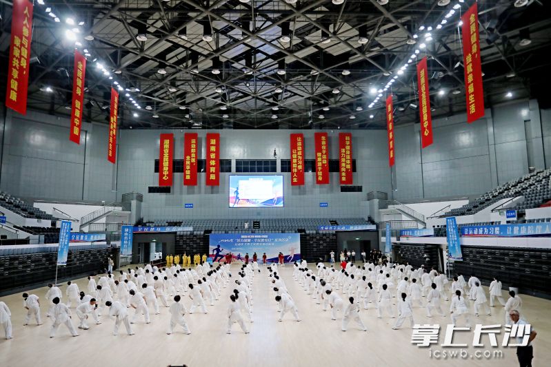 启动仪式现场。均为主办方供图 启动仪式现场。均为主办方供图